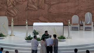 The 11th Sunday in Ordinary Time, Sunday Mass   June 14, 2026