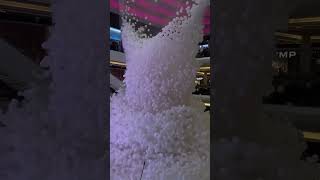 Thousands of balloon #travel #viral #viral #nature #trending #strange #love #weird #surprises #best
