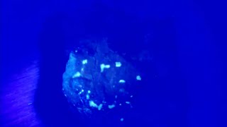 Hunting Ruby in Kyanite! Rare Metamorphic Find & UV Surprise!