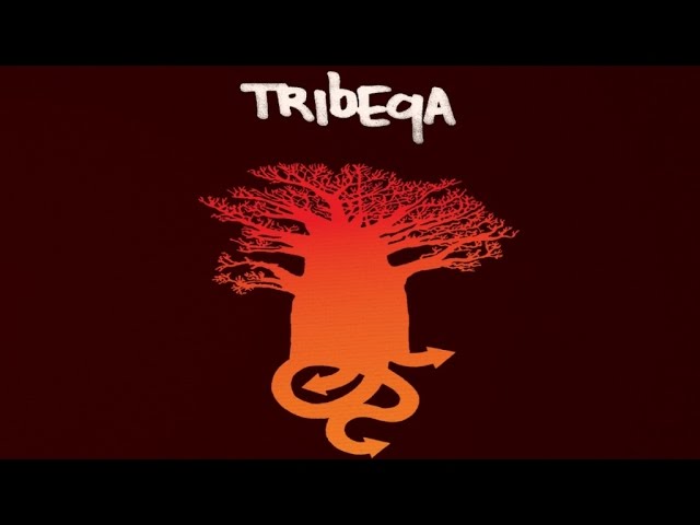 Watch Tribeqa - If We Could on YouTube Watch Tribeqa - If We Could on YouTube