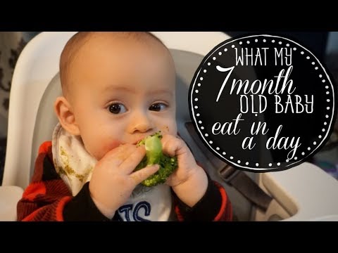 what-my-7-month-old-baby-eat-in-a-day