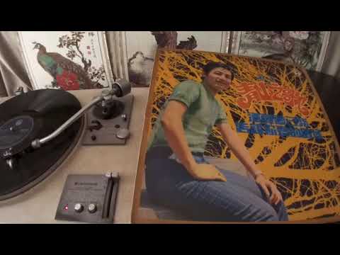 青山 Qing Shan -- b5 愛你一萬倍