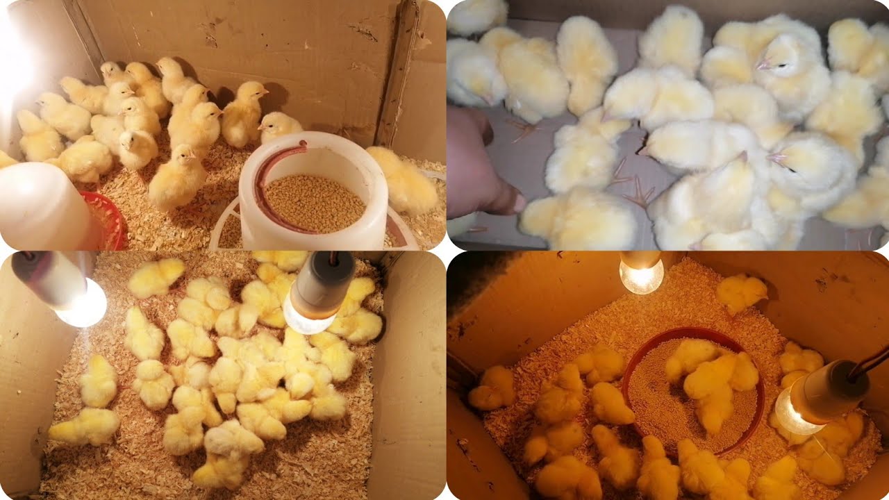 لسه ما نزلتيش دورة رمضان؟ 👀 وصفة سحرية تلحقي بيها وتوصلي لأعلى أوزان