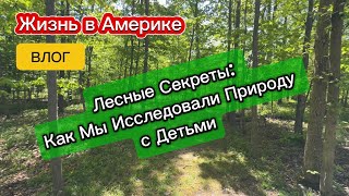 ЗВУКИ ПРИРОДЫ. ЛЕСНЫЕ СЕКРЕТЫ. КАК МЫ ИССЛЕДОВАЛИ ПРИРОДУ С ДЕТЬМИ. ЧТО МЫ НАШЛИ В ЛЕСУ. by Shmanovs Family America 126 views 2 weeks ago 25 minutes