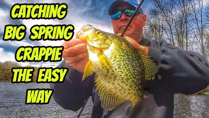 A Tackle Box Full of Tips for Spring Crappie Fishing With Kids