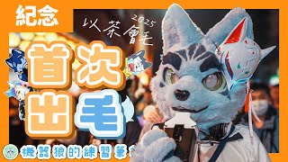 【初次實體化！】抱抱大放送！機器狼的出毛初體驗！【以茶會毛2025／紀念雜談】feat. 晴海徹、皥霆、萊德克