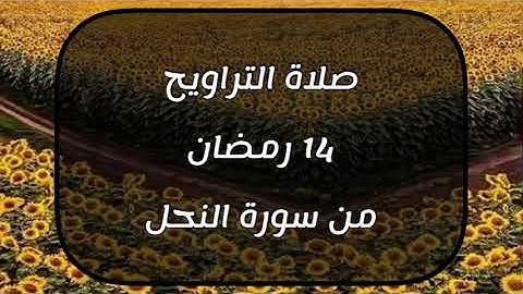 صلاة التراويح ١٤ رمضان - من سورة النحل