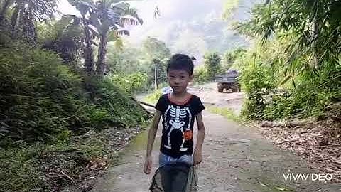 Xúc tép - bắt cá