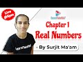 Class 10 Real Numbers  - Practice Questions on Euclid&#39;s Division Lemma - Surjit Ma&#39;am