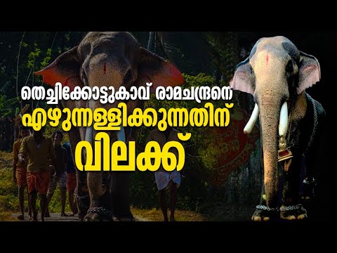 തെച്ചിക്കോട്ടുകാവ് രാമചന്ദ്രനെ പൊതുസ്ഥലത്ത് എഴുന്നള്ളിക്കുന്നത് വിലക്കി ഹൈക്കോടതി