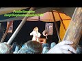 Pernilla kannapinn liveburgherzbergfestival 2023 lesezelt