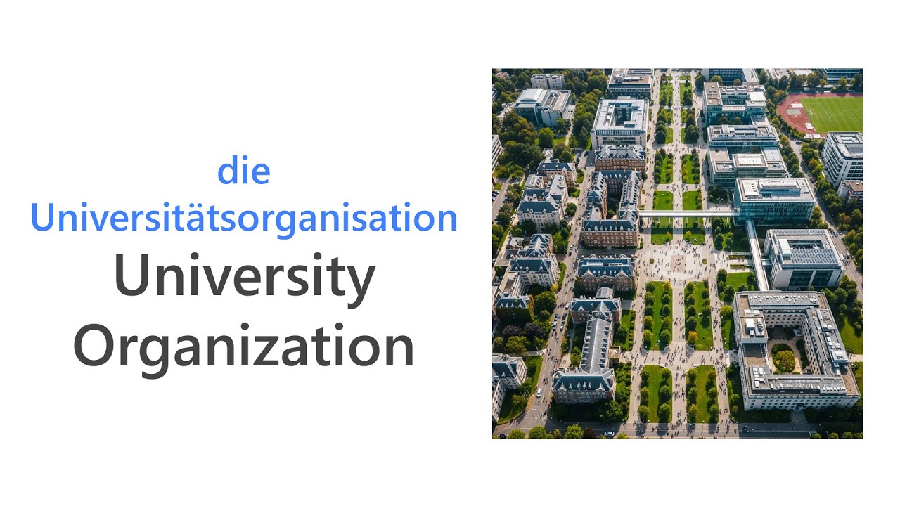 50 University Organization Words in German | Wortschatz zum Thema Universitätsorganisation