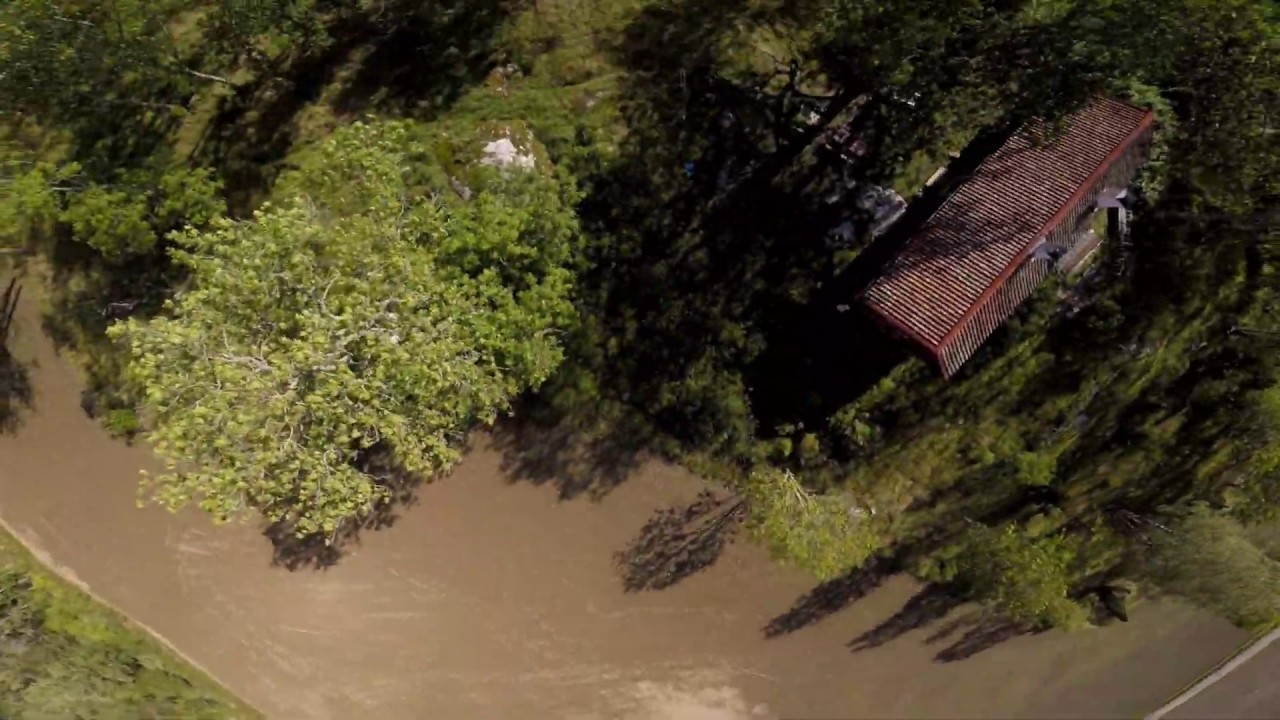Ghost Branches and Memories of Gaps Past (FPV 6s QUAD DRONE)