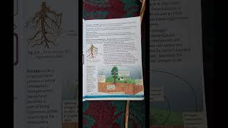 Microorganisms | Class 8th Science |The Hidden World of Microorganisms | #Microorganisms #shorts
