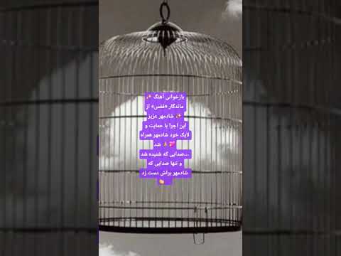 بازخوانی آهنگ ماندگار قفس از شادمهر و تنها صدایی که شادمهر براش دست زد کلیپ موسیقی
