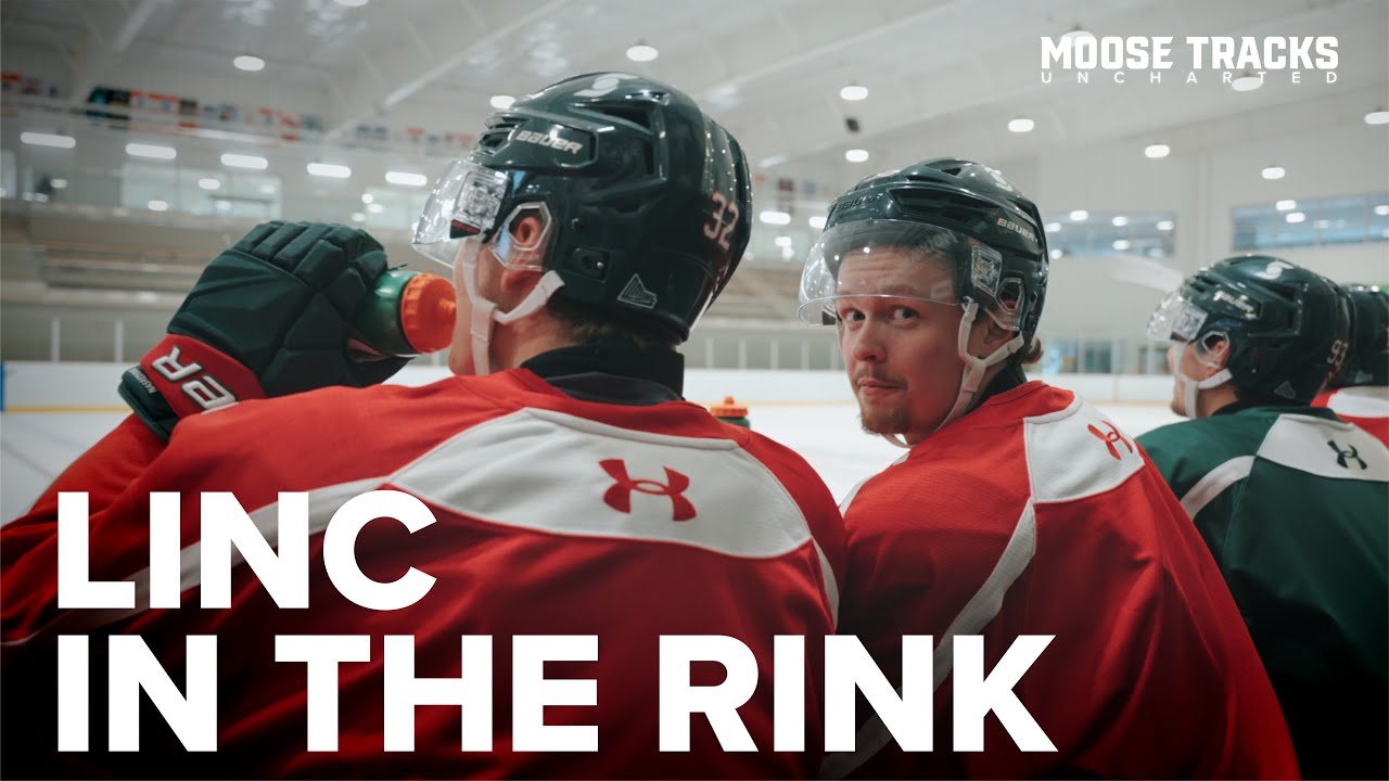 Следы лося неизведанные — Линк на катке