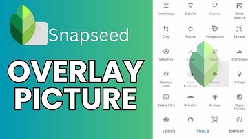 How to Overlay Picture in SnapSeed 2024?