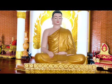 Video Mùng 1 Âm Mở Kinh Sám Hối Phật Tổ Hộ Trì Hết Bệnh May... - youtube