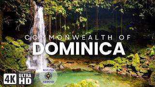 Dominica 4K: The Reality of Living in a Caribbean Blue Zone