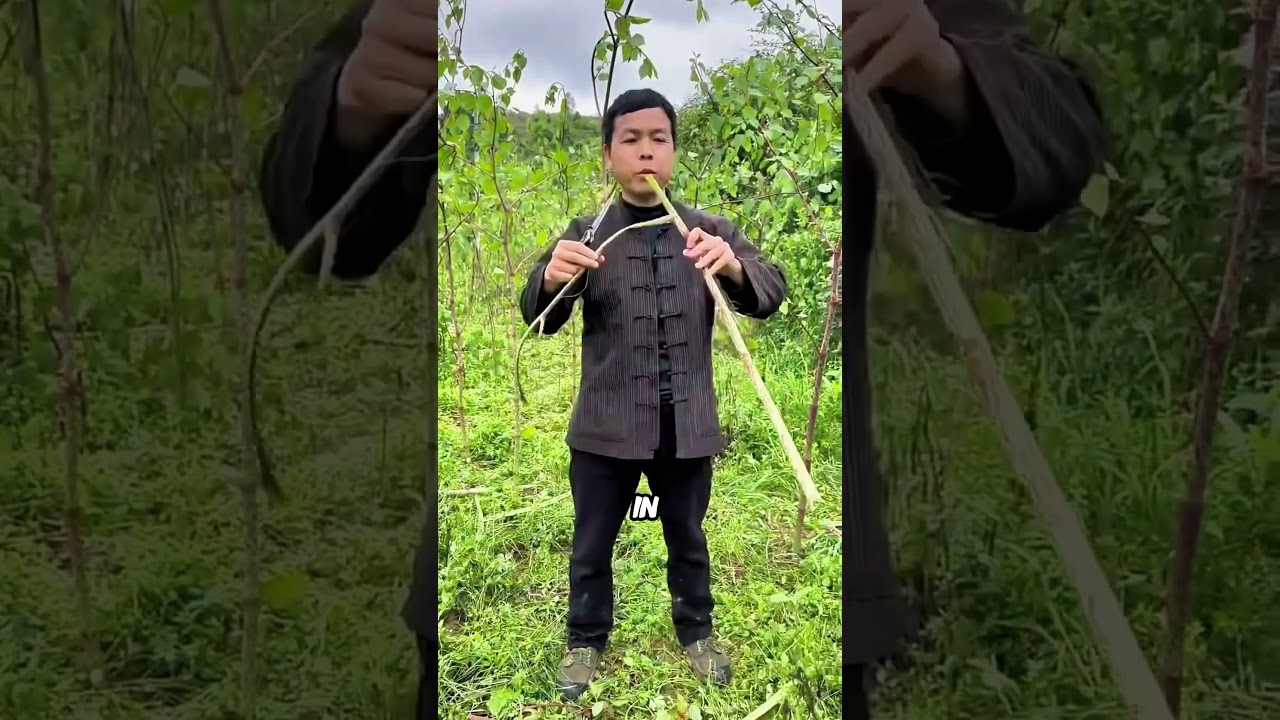 Japanese Knotweed Explained