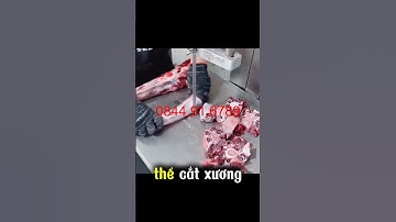 Máy cắt cưa xương đa năng siêu bén #maycuaxuong #machinerychannel #food