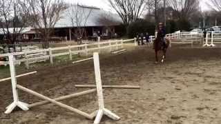 ビリーザキッド新馬調教64日目① 20150320