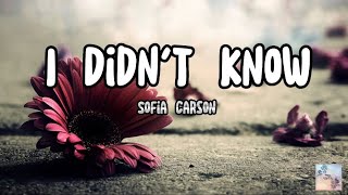I Didn’t Know Lyrics | Sofia Carson | PMmelody