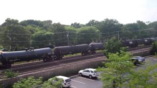 CP EMD SD40-2 6018 6047 DME 6366 Ethional Freight Central Ave Deerfield
