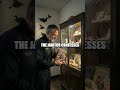 Midnight Quacks in the Gallery
