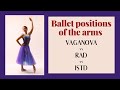 The names of ballet arm positions in . の動画、YouTube動画。