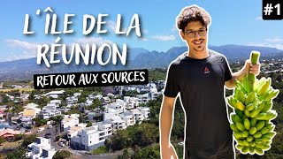 ÎLE DE LA RÉUNION - A warm welcome from...turtles! EP 1 {VLOG} 🇷🇪