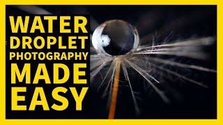 The secret that makes water droplet photography easy