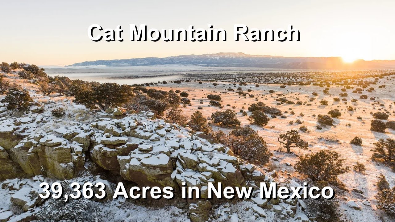 Cat Mountain Ranch 39,363 Acres in Magdalena, New Mexico YouTube