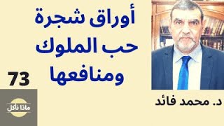 الدكتور محمد فائد || ماذا نأكل 73 || أوراق حب الملوك (الكرز) فيه منافع كثيرة