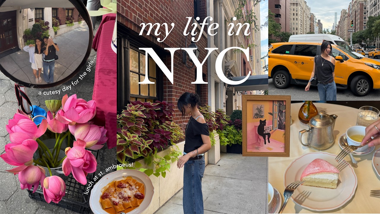 my life in new york city with a cat 🍎🚕 | grocery haul, princess cake & first gifting suite!