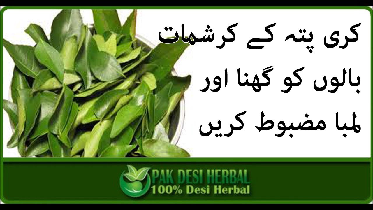 How To Get Long & Thick Hair, Stop Hair Fall & Get Faster Hair Growth with Curry Pata