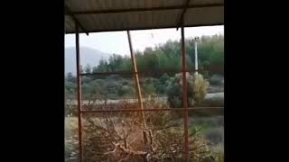 Ares Santrafi̇j Dekantör Imi Ve Çikan Pri̇na Kuru Si̇stem Çikar Yağ Orani̇ Yüzde İki̇ 05428098704