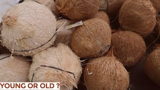 How To Choose The Right Coconut