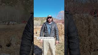 Voices of the Rio Grande: Emilio Borrego