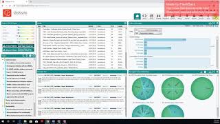 Intro to Dedoose - Part 1(Importing &  linking descriptors)