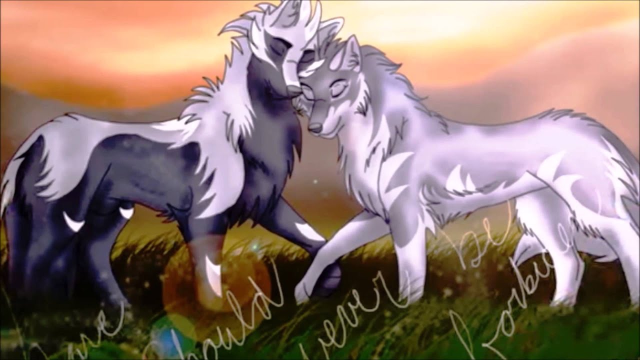 Anime Wolves For My Love Youtube