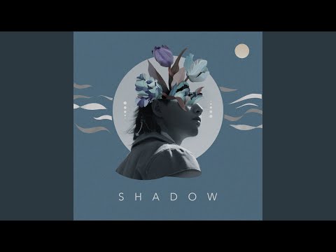 그림자 Shadow