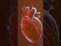If you are a heart patient, avoid these 5 habits immediately. ❤️