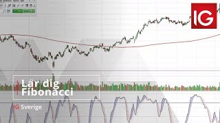 Lär dig Fibonacci - talserien och det gyllene snittet