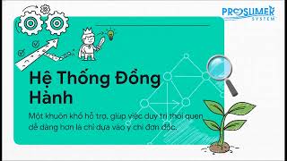 1.16 Tại Sao Đa Số Người Giảm Cân Bỏ Cuộc