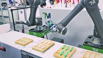 V1A008 TM Robot - 2018 Hannover Messe