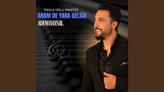 Anam De Yara Gelsin