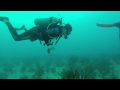 Scuba Diving - Playa del Carmen (Mexico)