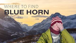 Where to find a Blue Horn and get back? - Arctic Digital Nomads. Ep.8. @dachux21
