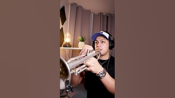 Thumbnail of @TimmyTrumpetTV #narco #tomorrowland #trumpet #trumpetplayers #viralsong #viralshorts #trumpetvine